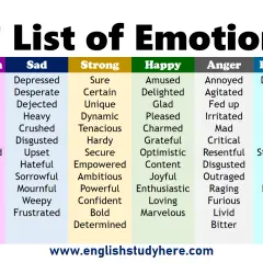 Lista di verbi di sentimento in inglese, suddivisi per categorie: confusione, tristezza, forza, felicità, rabbia ed energia.