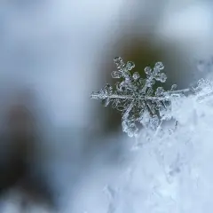 Un fiocco di neve, un capolavoro di cristallo, posa su un letto di neve soffice. Le sue delicate ramificazioni raccontano storie di freddo e magia, parole invernali che danzano nel silenzio.