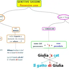 Schema sul genitivo sassone in inglese: quando si usa, come si forma (singolare e plurale), e con "whose". Esempi: Giulia's cat, My nephews' house.